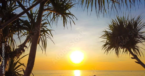 4K timelapse and motionlapse of beautiful sunset over sea with palm trees on coast, waves, sun reflection in water