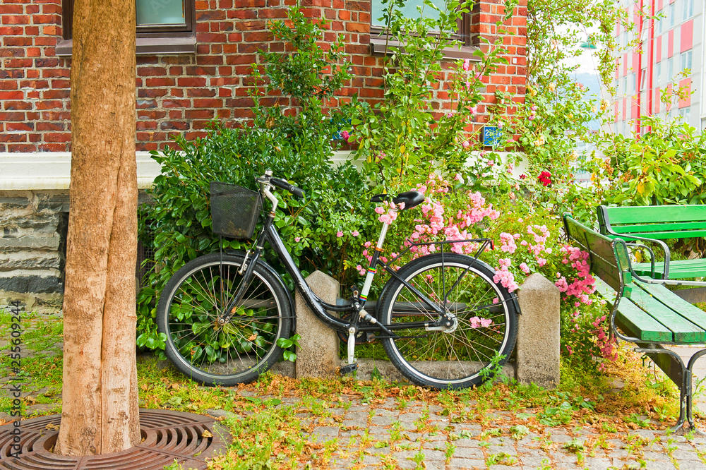 Scandinavian biking lifestyle