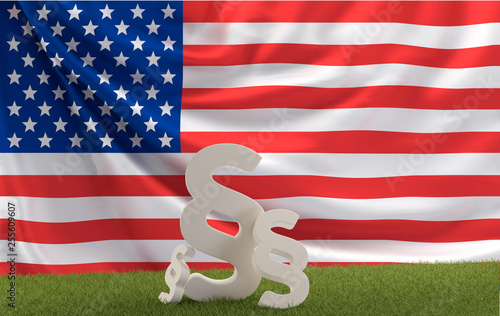 America flag with paragraph...