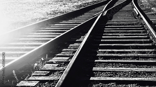 A railway track litted by the sunb black and white.