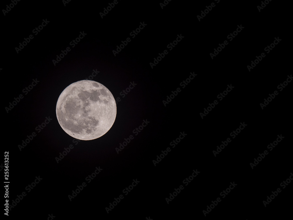 Obraz premium Full moon in the night sky with copyspace.