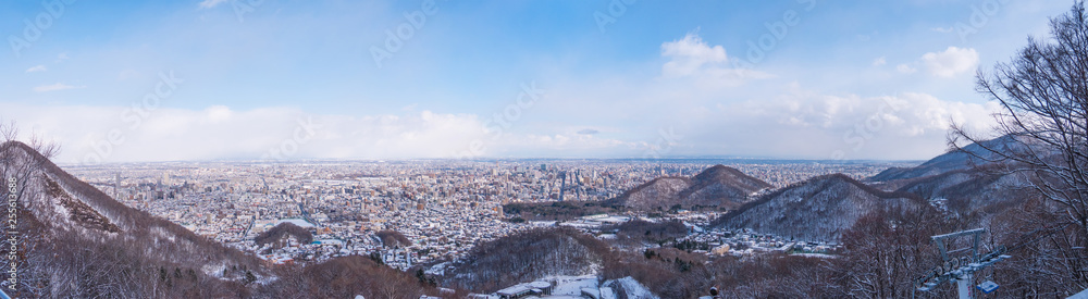 Snow covered city in winter.