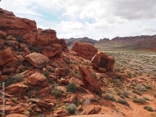 valley of fire national park in nevada