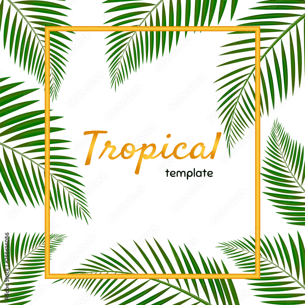 Palm Leaf Vector Background Illustration. Tropical fan palm tree green leaves, exotic forest greenery herbs & elegant golden frame. Luxury botanical rustic natural template