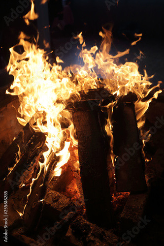 Firewood burning in furnace