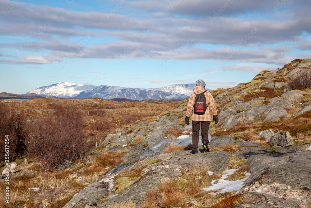 On a hike to Vikerfjellet