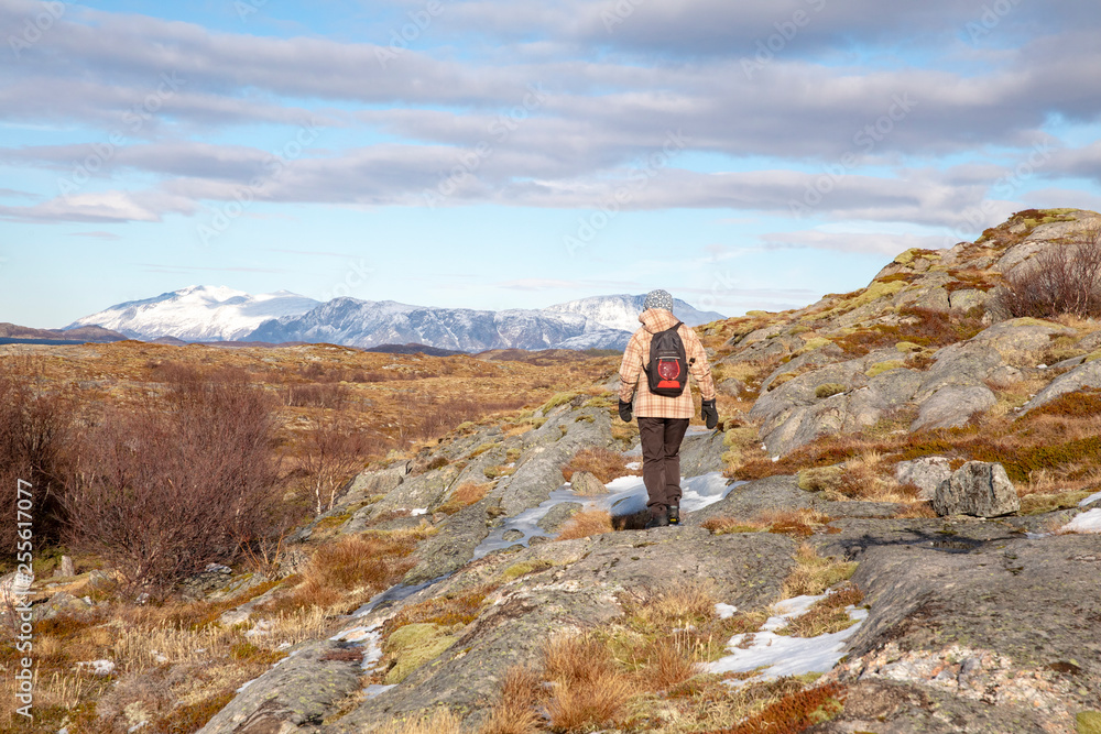 On a hike to Vikerfjellet