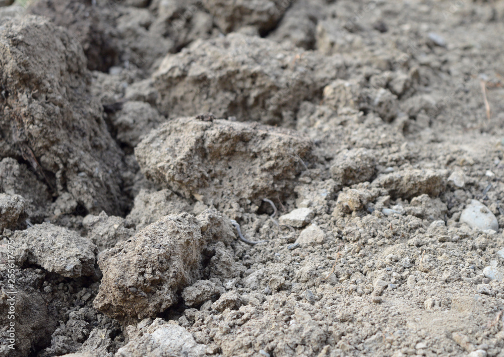 Ground as texture and background Ground as texture and background