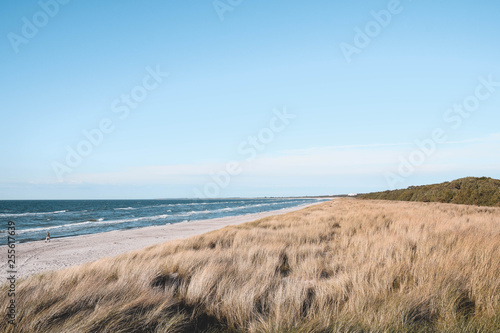 Fototapeta Naklejka Na Ścianę i Meble -  Dünen, Strand, Meer, Grün, Pflanzen, Ozean, Nordsee, Ostsee, Naturschutz, Hintergrund