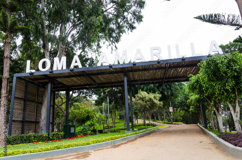 Loma Amarilla an ecosystem with more than 4,000 square meters of pure air. Habitat of 34 species of birds and 25 types of trees, considered one of the last ecological lungs of Lima. Loma Amarilla an ecosystem with more than 4,000 square meters of pure air. Habitat of 34 species of birds and 25 types of trees, considered one of the last ecological lungs of Lima.