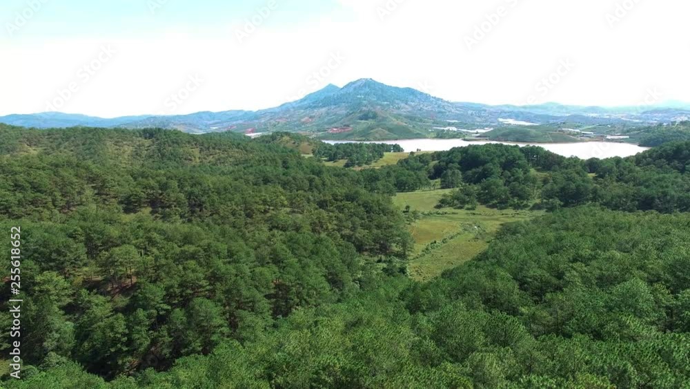 The forest in Da Lat, Lam Dong in ariel view by drone | 4k aerial of flying over a beautiful green forest and highway road in a rural landscape The forest in Da Lat, Lam Dong in ariel view by drone | 4k aerial of flying over a beautiful green forest and highway road in a rural landscape