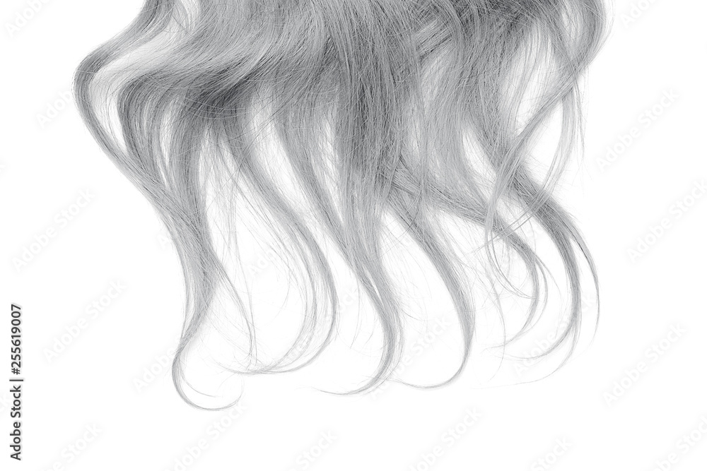 Long gray hair isolated on white background