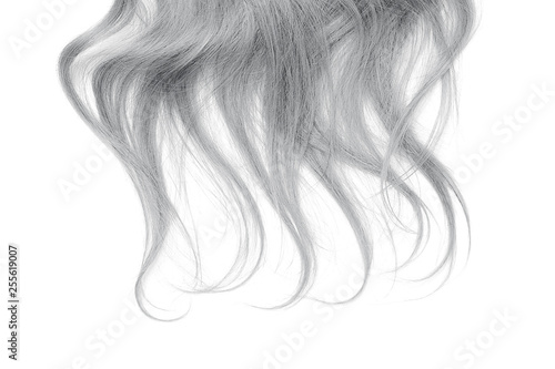 Long gray hair isolated on white background