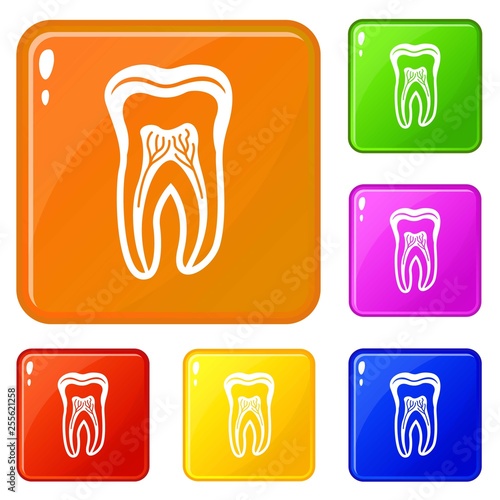 Tooth structure icons set collection vector 6 color isolated on white background