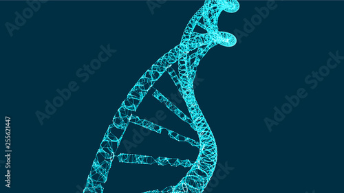 DNA molecule helix, vector illustration for medical, research and science creative, modern background