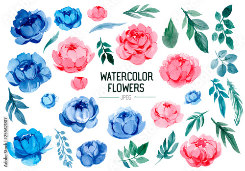 Set of flowers. Hand drawn watercolor illustration
