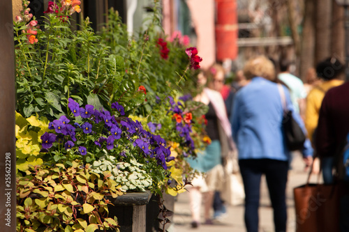 people walking down street flower box