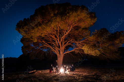 Group of people gathered around acampfire under a great tree.