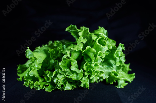 delicious green salad on black background