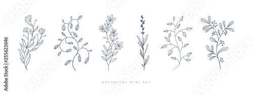 Photo Set hand drawn curly grass and flowers on white isolated background