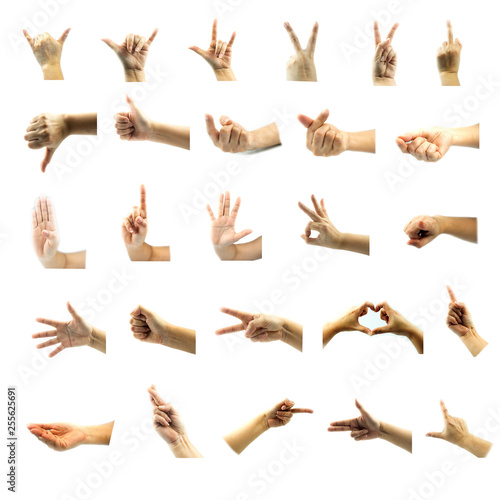 Pose collection of hands sign on white background, Lady hand gestures show 