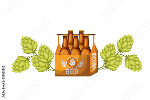 box with beer bottles isolated icon