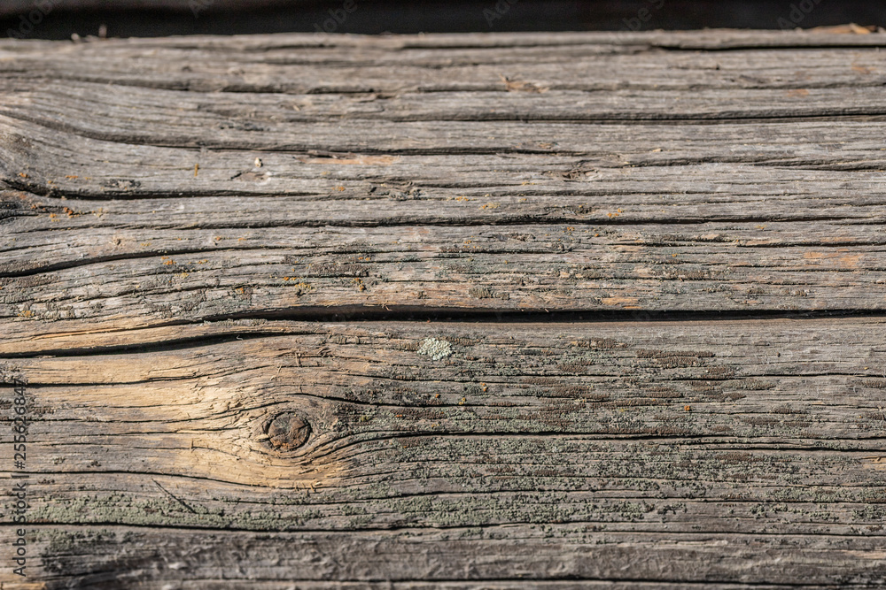 old weathered rotten cracked knotted coarse wood vignette grunge texture old weathered rotten cracked knotted coarse wood vignette grunge texture