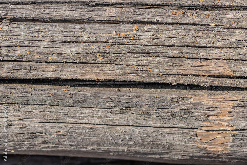 old weathered rotten cracked knotted coarse wood vignette grunge texture old weathered rotten cracked knotted coarse wood vignette grunge texture