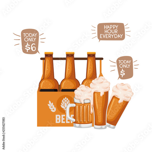 box with beer bottles isolated icon
