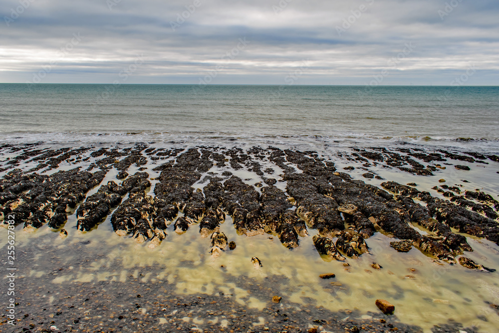 The retreating sea The retreating sea