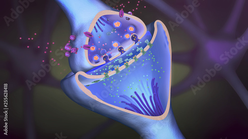 Foto 3d illustration of the scientific function of a synapse or neuronal connection w