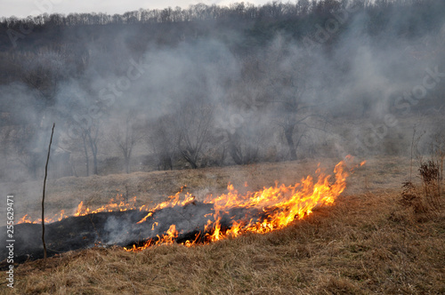 In spring, a dry grass is burned