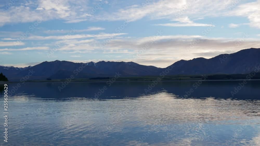 Panning shot Lake Tekapo in early morning with mallard ducks fly across the water. Panning shot Lake Tekapo in early morning with mallard ducks fly across the water.
