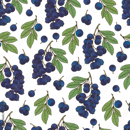 Vector hand drawn seamless pattern with berries, bilberry, blueberry -05