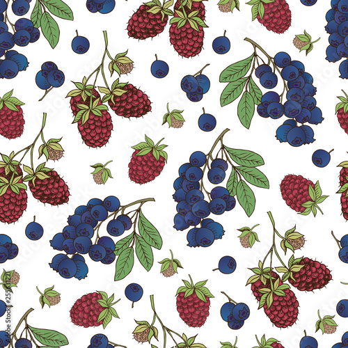 Vector hand drawn seamless pattern with berries raspberry, bilberry, blueberry