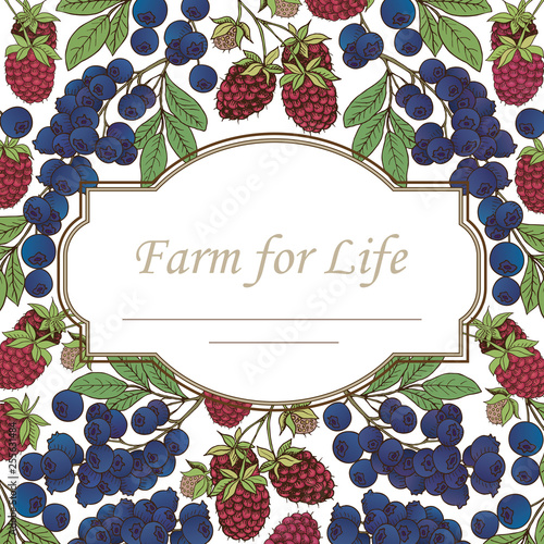 Сard template. Vector frame, label with hand drawn berries-08