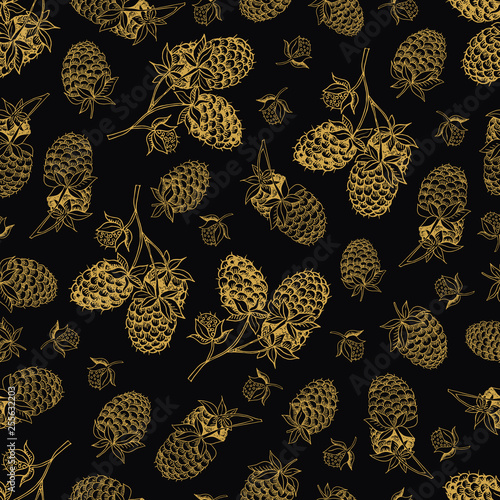 Vector hand drawn seamless pattern with raspberry berries 