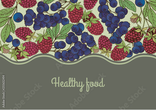 Сard template.Vector frame, label with hand drawn berries