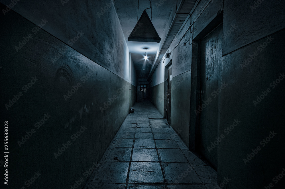 Ciemny korytarz. Mistyczne wnętrze ciemnego pustego korytarza, tunel w opuszczonym domu. Ciemny tajemniczy korytarz. Wnętrze opuszczonego domu, droga do piekła. <span>plik: #255633023 | autor: zef art</span>