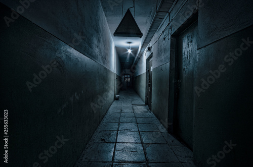 Fototapeta Ciemny korytarz. Mistyczne wnętrze ciemnego pustego korytarza, tunel w opuszczonym domu. Ciemny tajemniczy korytarz. Wnętrze opuszczonego domu, droga do piekła.