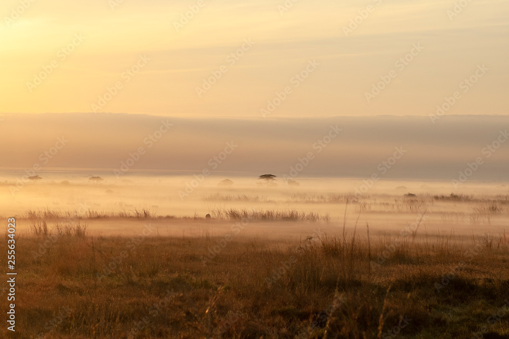 Sunrise in Kenya