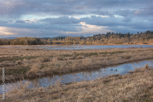 ridgefield wildlife refuge nature area in Washington state