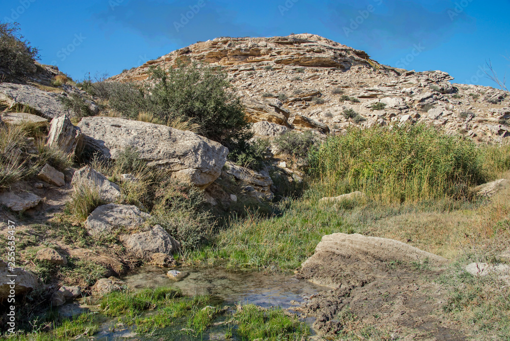 Naklejka premium Ручеёк