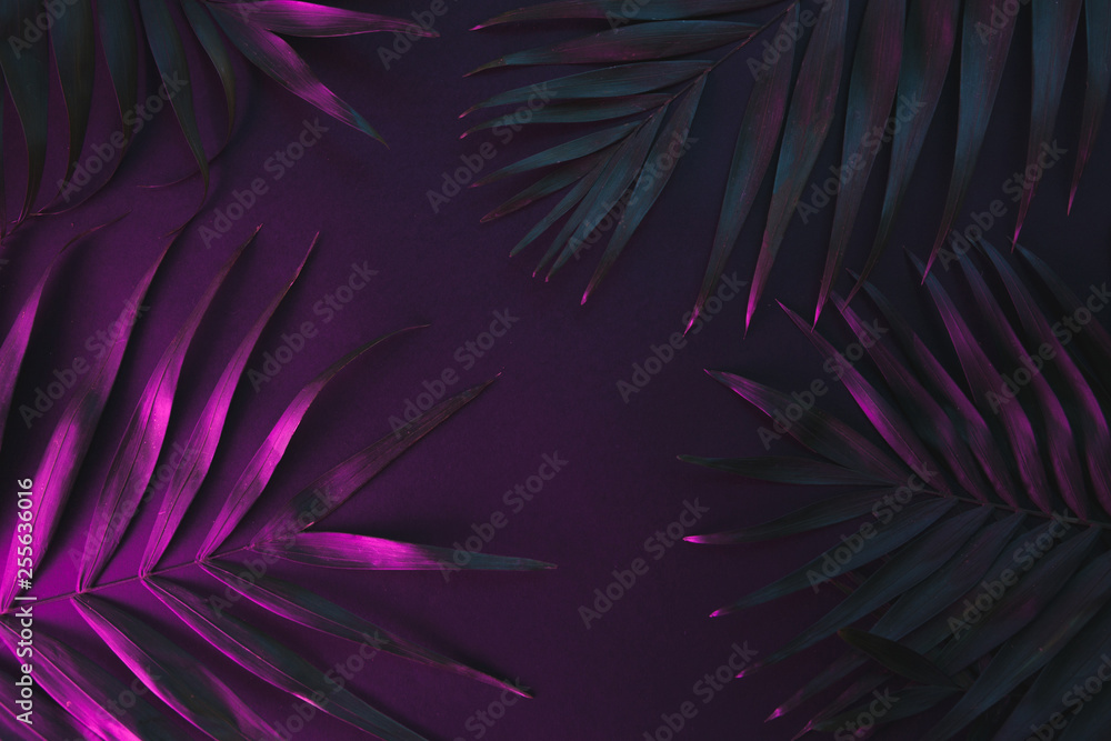 Tropical and palm leaves in vibrant bold gradient holographic neon colors , background. - obrazy, fototapety, plakaty 