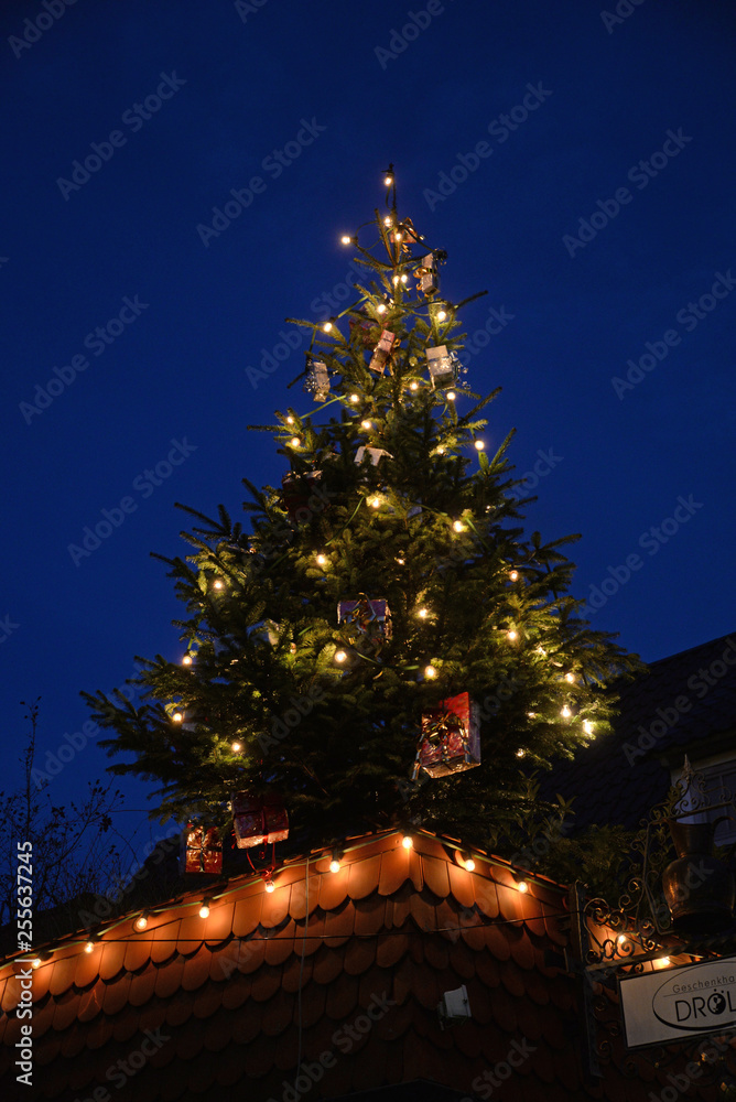 Fototapeta premium Weihnachtsbaum auf einem Dach