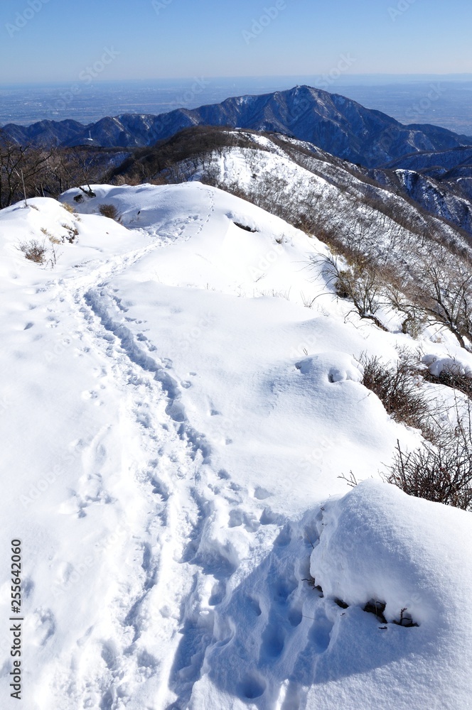 トレースは続く