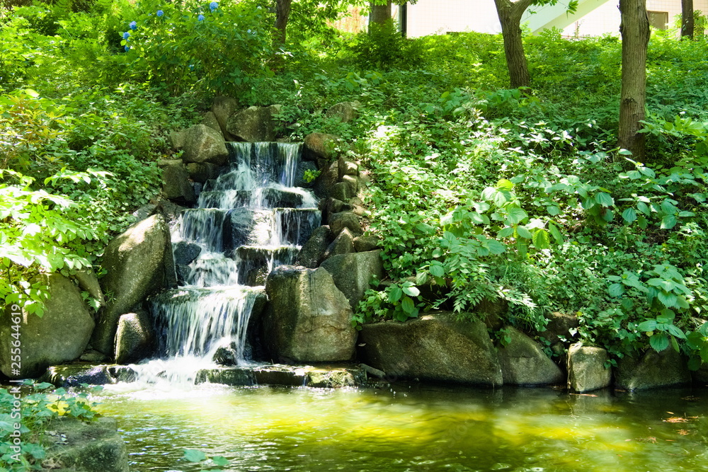 fountain in the park