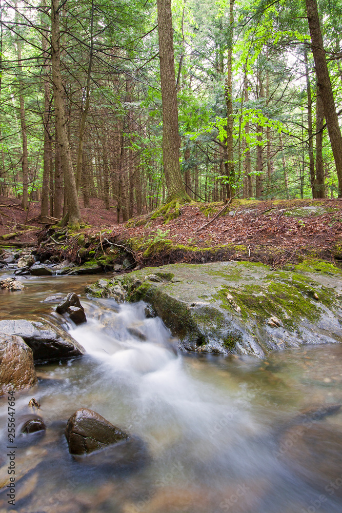 Obraz premium Silky rushing stream flowing over rocks in New England forest