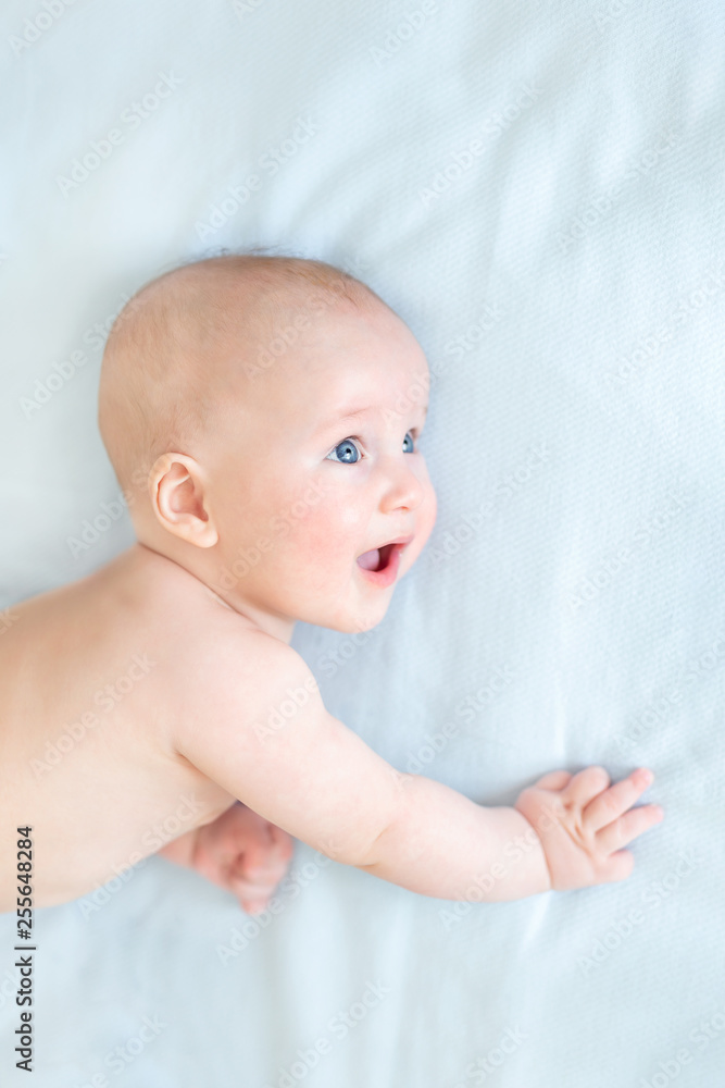 Profile portrait of cute little baby boy lying on blue blanket and looking aside. Child with open mouth and wide opened eyes. Astonished surprised kid. Copyspace Profile portrait of cute little baby boy lying on blue blanket and looking aside. Child with open mouth and wide opened eyes. Astonished surprised kid. Copyspace