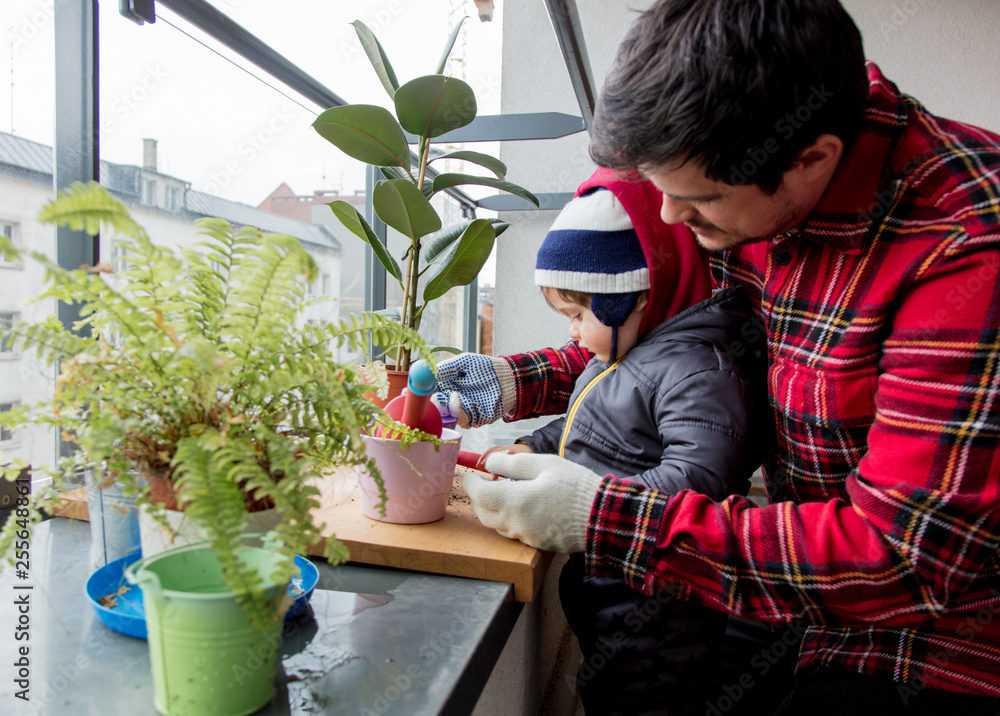 Son and father gardering with plants at home. Son and father gardering with plants at home.